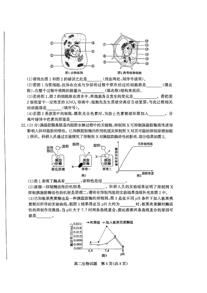 2024年枣庄高二期末生物试题_2024-2025高三（6-6月题库）_2024年07月试卷_240714山东省枣庄市2024年高二期末教学质量检测
