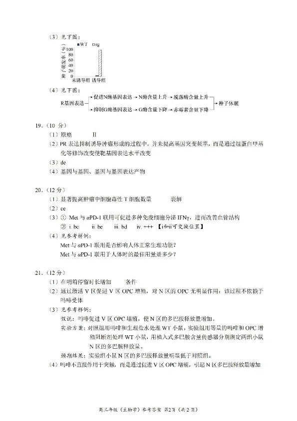 2024年北京海淀区高三期中生物试题及答案_2024-2025高三（6-6月题库）_2024年11月试卷_1112北京市海淀区2024-2025学年高三上学期期中考试