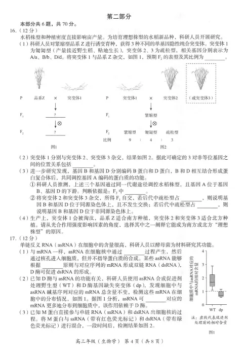 2024年北京海淀区高三期中生物试题及答案_2024-2025高三（6-6月题库）_2024年11月试卷_1112北京市海淀区2024-2025学年高三上学期期中考试