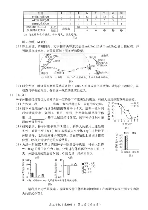 2024年北京海淀区高三期中生物试题及答案_2024-2025高三（6-6月题库）_2024年11月试卷_1112北京市海淀区2024-2025学年高三上学期期中考试