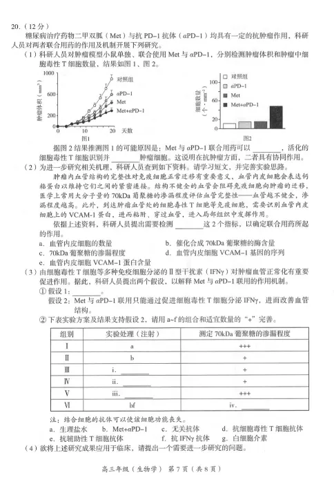 2024年北京海淀区高三期中生物试题及答案_2024-2025高三（6-6月题库）_2024年11月试卷_1112北京市海淀区2024-2025学年高三上学期期中考试
