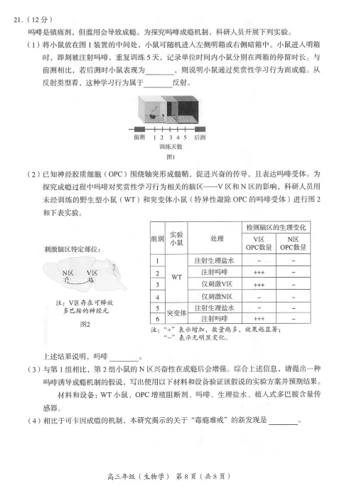 2024年北京海淀区高三期中生物试题及答案_2024-2025高三（6-6月题库）_2024年11月试卷_1112北京市海淀区2024-2025学年高三上学期期中考试