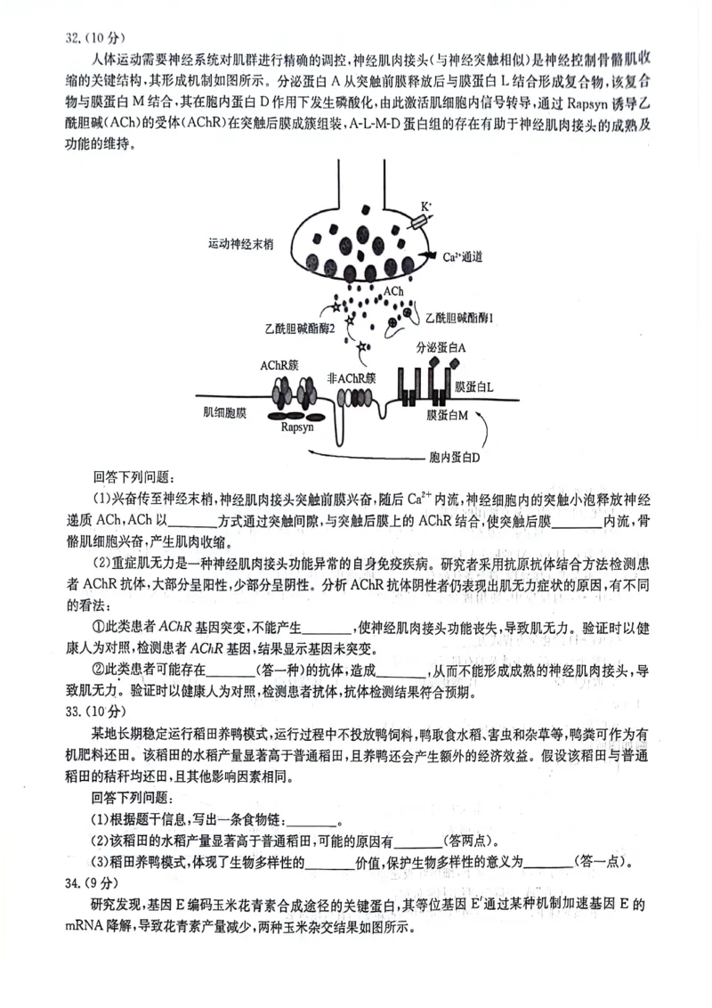 河南省部分重点高中2023-2024学年下学期高三3月联考-理综_2024年3月_013月合集_2024届华大新高考联盟高三3月教学质量测评（新教材版）