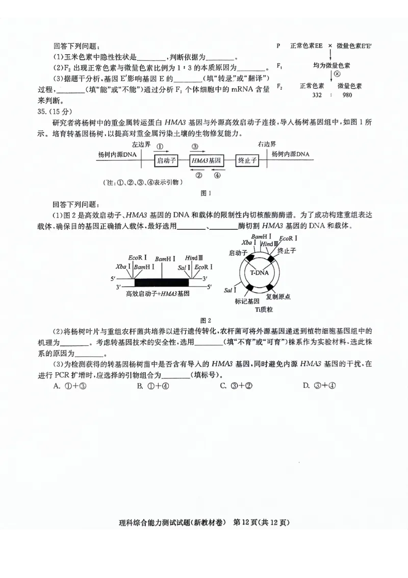 河南省部分重点高中2023-2024学年下学期高三3月联考-理综_2024年3月_013月合集_2024届华大新高考联盟高三3月教学质量测评（新教材版）