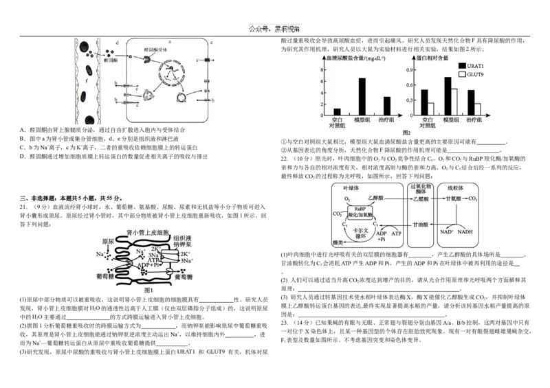 2024&mdash;2025学年度高三上学期期中生物试题_2024-2025高三（6-6月题库）_2024年11月试卷_1121黑龙江省哈尔滨市师范大学附属中学2025届高三上学期期中考试（全科）