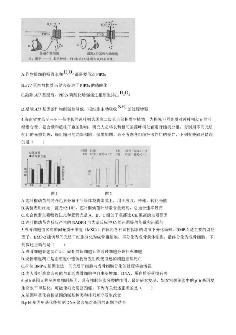 海南省2023-2024学年高三下学期学业水平诊断（五）生物试题(1)_2024年5月_025月合集_2024届海南省天一联考高三学业水平诊断（五）