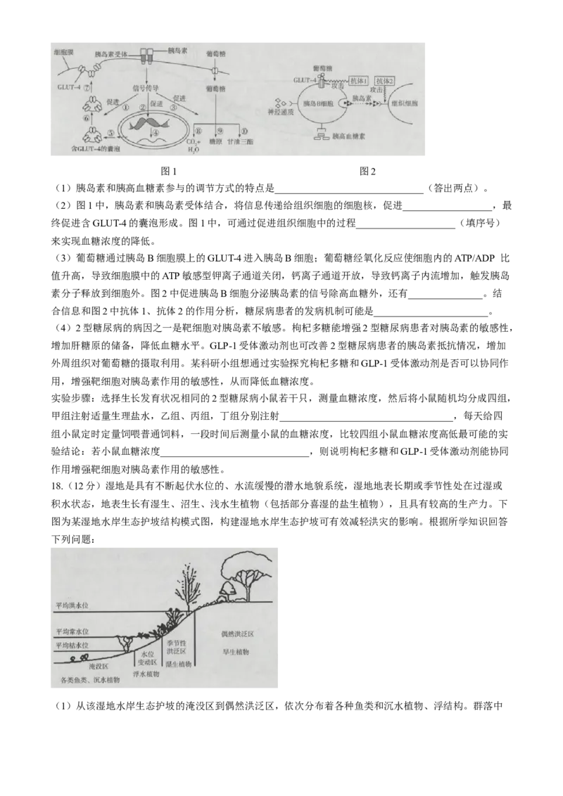 海南省2023-2024学年高三下学期学业水平诊断（五）生物试题(1)_2024年5月_025月合集_2024届海南省天一联考高三学业水平诊断（五）