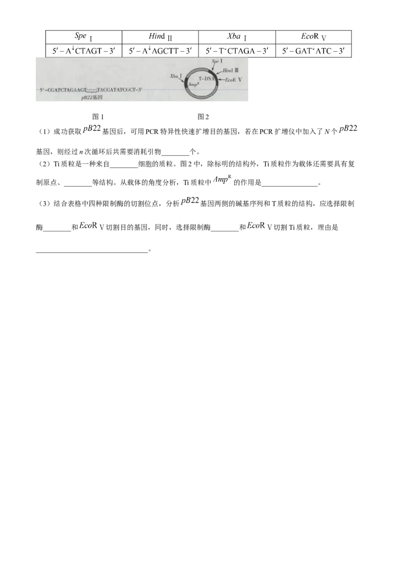 海南省2023-2024学年高三下学期学业水平诊断（五）生物试题(1)_2024年5月_025月合集_2024届海南省天一联考高三学业水平诊断（五）