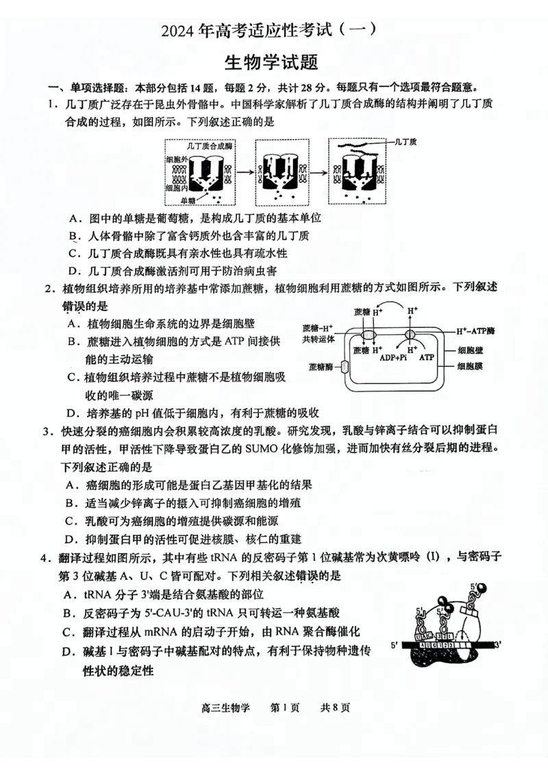 江苏省如皋市2024年高三下学期1.5模考试生物试题_2024年3月_013月合集_2024届江苏省南通市高三第一次适应性调研考试（南通1.5模）