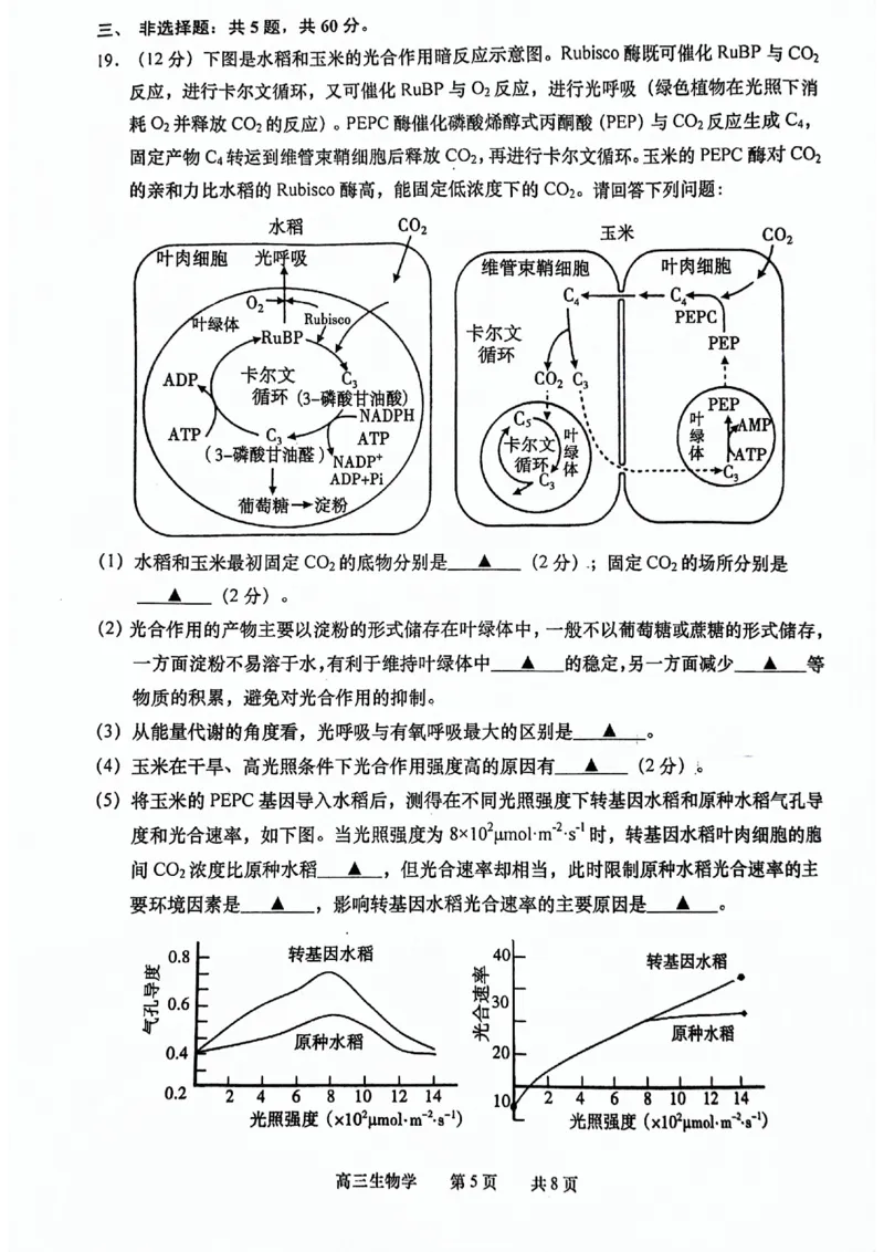 江苏省如皋市2024年高三下学期1.5模考试生物试题_2024年3月_013月合集_2024届江苏省南通市高三第一次适应性调研考试（南通1.5模）
