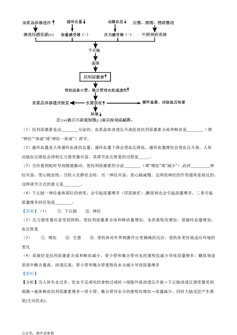 浙江省9+1联盟2024届高三下学期3月联考生物试题（解析版）_2024年4月_01按日期_3号_2024届浙江省9+1联盟高三下学期3月模拟预测_浙江省9+1高中联盟2023-2024学年高三下学期3月联考生物