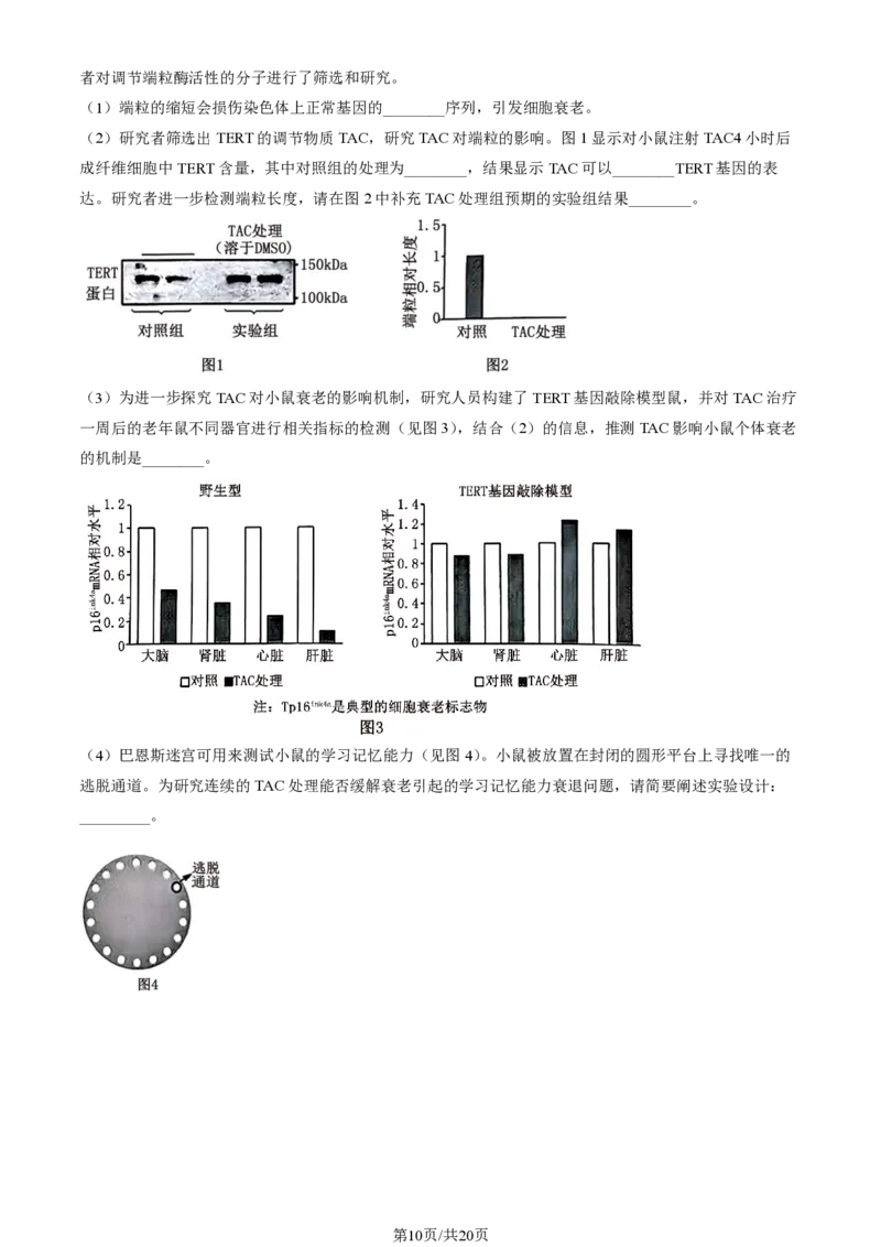 2024北京通州高三（上）期中生物试题及答案_2024-2025高三（6-6月题库）_2024年11月试卷_1126北京市通州区2024-2025学年高三上学期11月期中质量检测