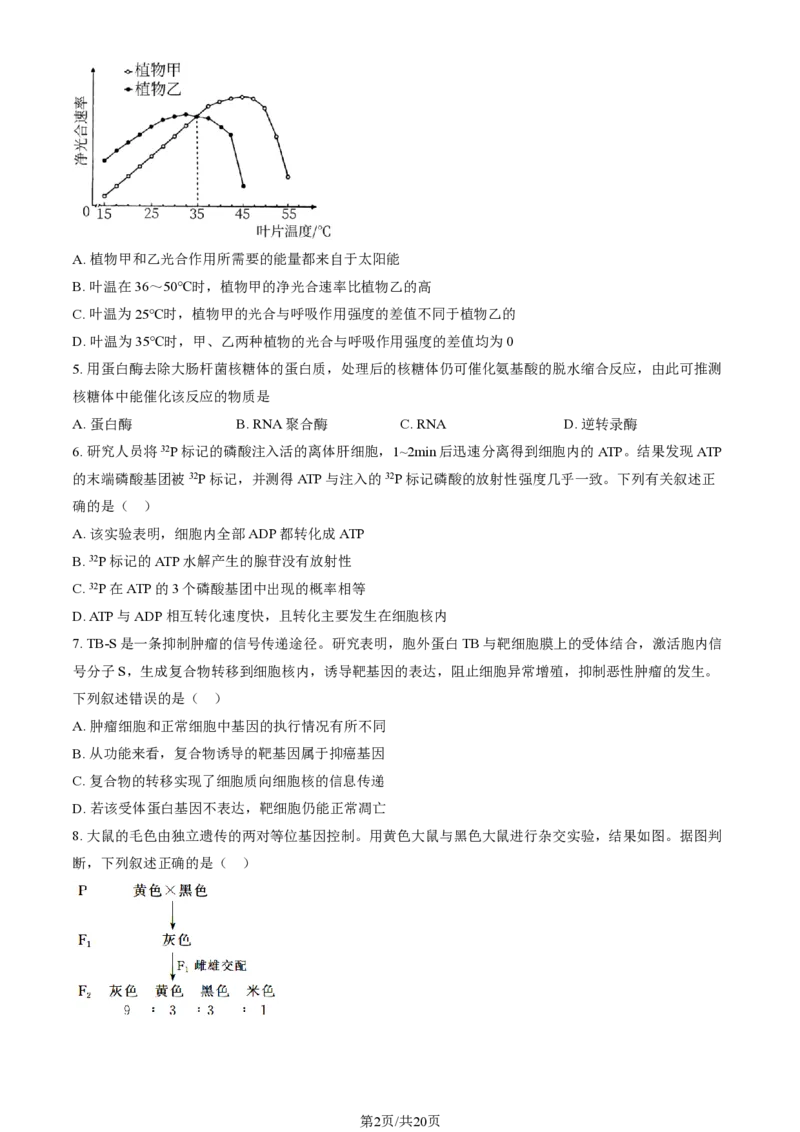 2024北京通州高三（上）期中生物试题及答案_2024-2025高三（6-6月题库）_2024年11月试卷_1126北京市通州区2024-2025学年高三上学期11月期中质量检测