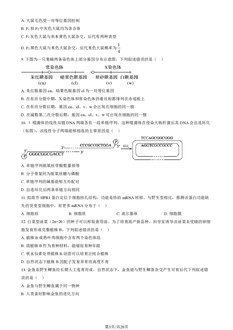2024北京通州高三（上）期中生物试题及答案_2024-2025高三（6-6月题库）_2024年11月试卷_1126北京市通州区2024-2025学年高三上学期11月期中质量检测