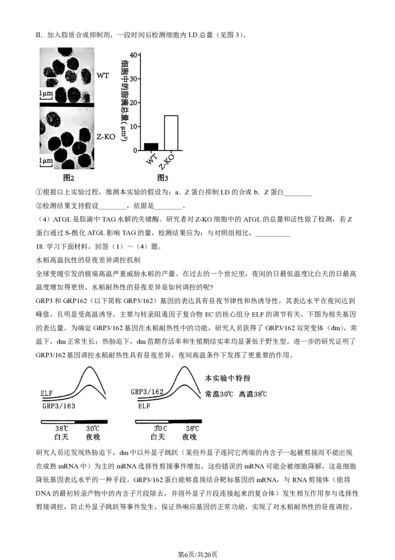 2024北京通州高三（上）期中生物试题及答案_2024-2025高三（6-6月题库）_2024年11月试卷_1126北京市通州区2024-2025学年高三上学期11月期中质量检测