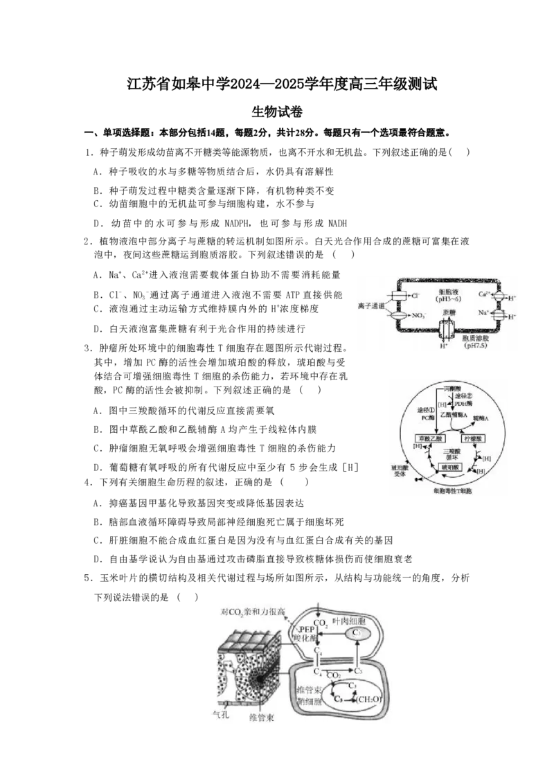2025届江苏省如皋中学高三上学期期初考试-生物_2024-2025高三（6-6月题库）_2024年09月试卷_09212025江苏省如皋中学高三上学期期初考试_2025届江苏省如皋中学高三上学期期初考试PDF
