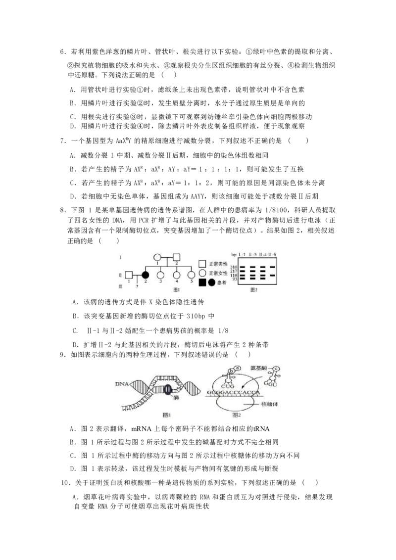 2025届江苏省如皋中学高三上学期期初考试-生物_2024-2025高三（6-6月题库）_2024年09月试卷_09212025江苏省如皋中学高三上学期期初考试_2025届江苏省如皋中学高三上学期期初考试PDF