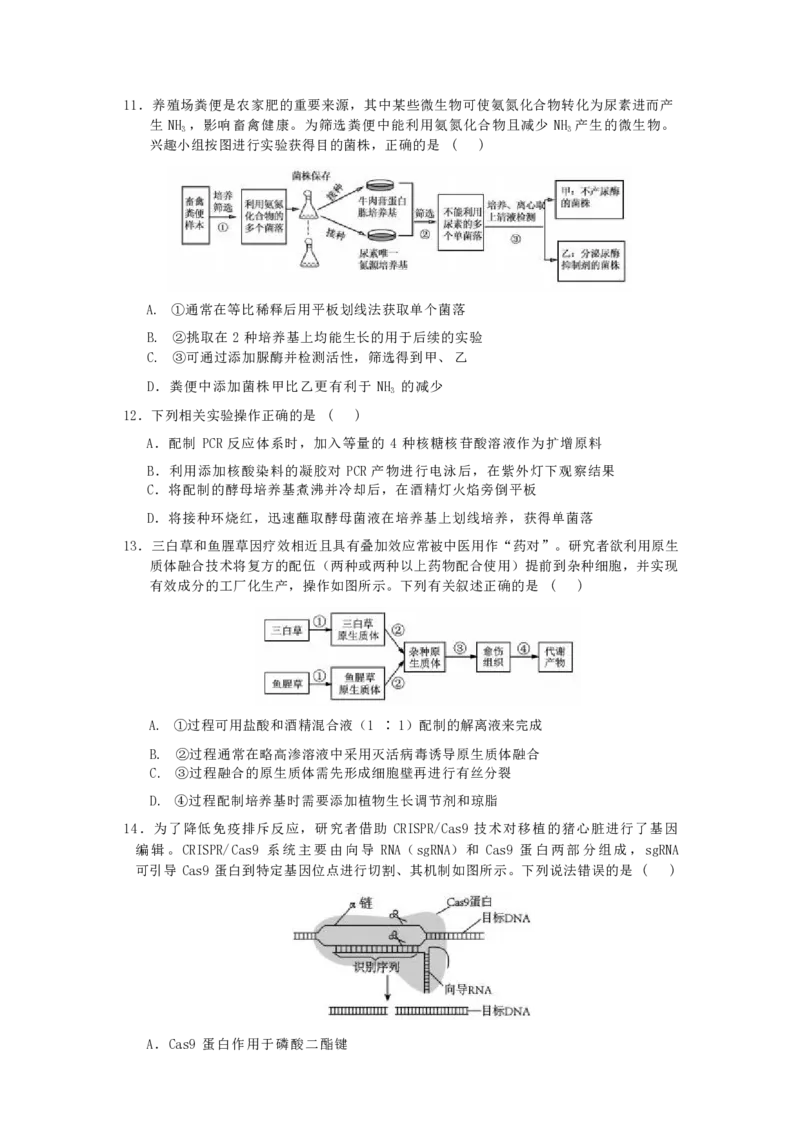 2025届江苏省如皋中学高三上学期期初考试-生物_2024-2025高三（6-6月题库）_2024年09月试卷_09212025江苏省如皋中学高三上学期期初考试_2025届江苏省如皋中学高三上学期期初考试PDF