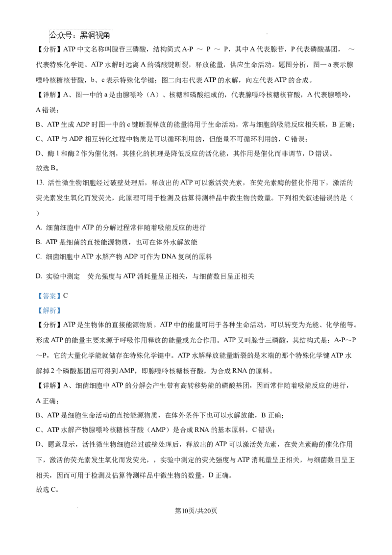 2025届银川一中高三第二次月考生物试卷答案_2024-2025高三（6-6月题库）_2024年10月试卷_1007宁夏回族自治区银川一中2024-2025学年高三上学期第二次月考