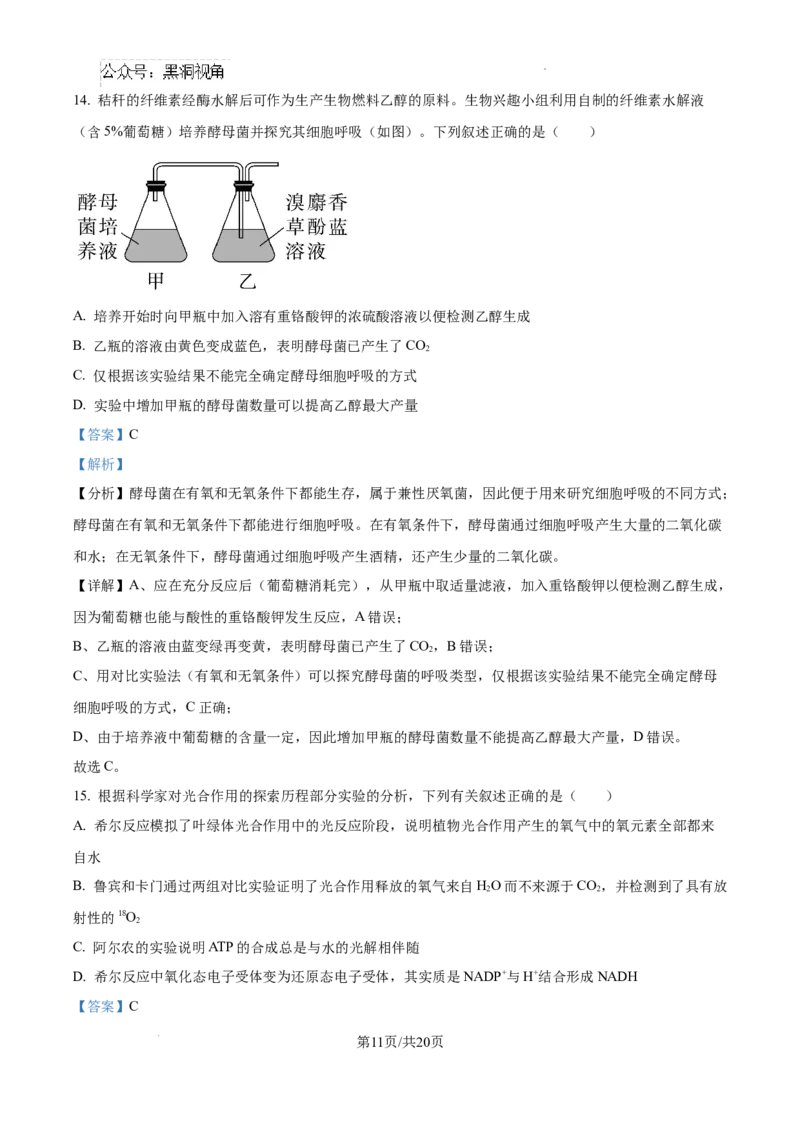 2025届银川一中高三第二次月考生物试卷答案_2024-2025高三（6-6月题库）_2024年10月试卷_1007宁夏回族自治区银川一中2024-2025学年高三上学期第二次月考