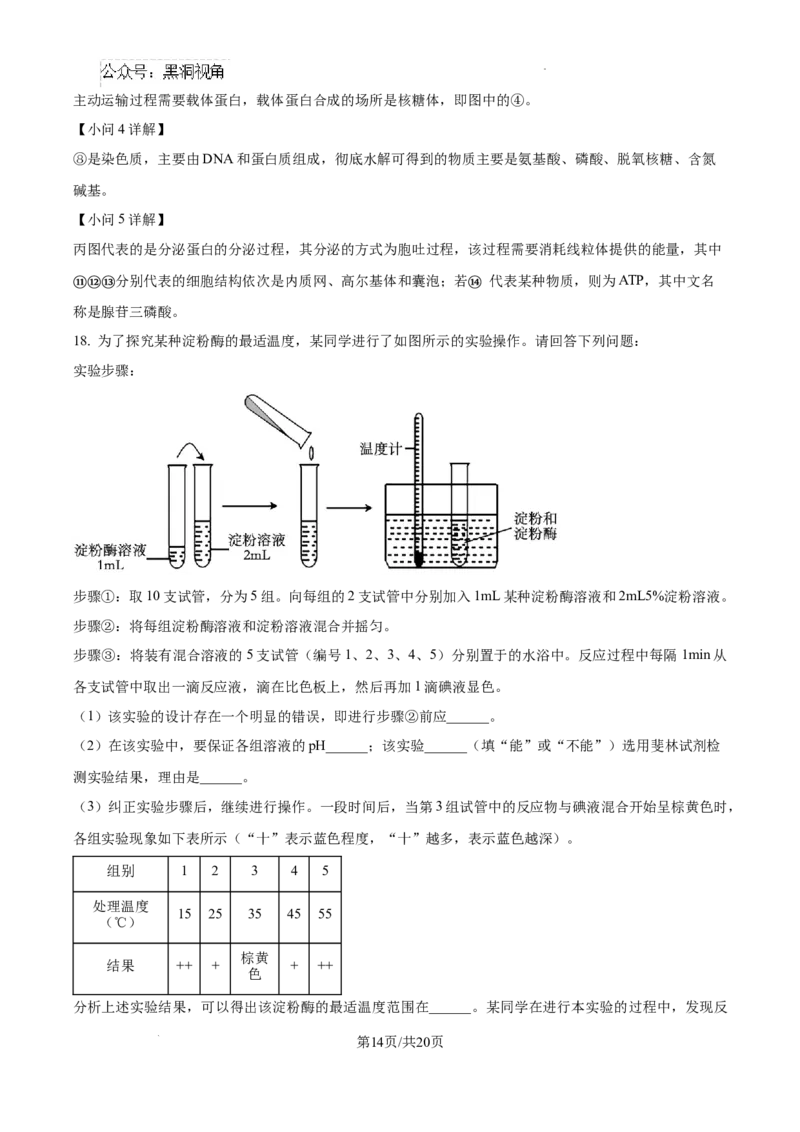 2025届银川一中高三第二次月考生物试卷答案_2024-2025高三（6-6月题库）_2024年10月试卷_1007宁夏回族自治区银川一中2024-2025学年高三上学期第二次月考