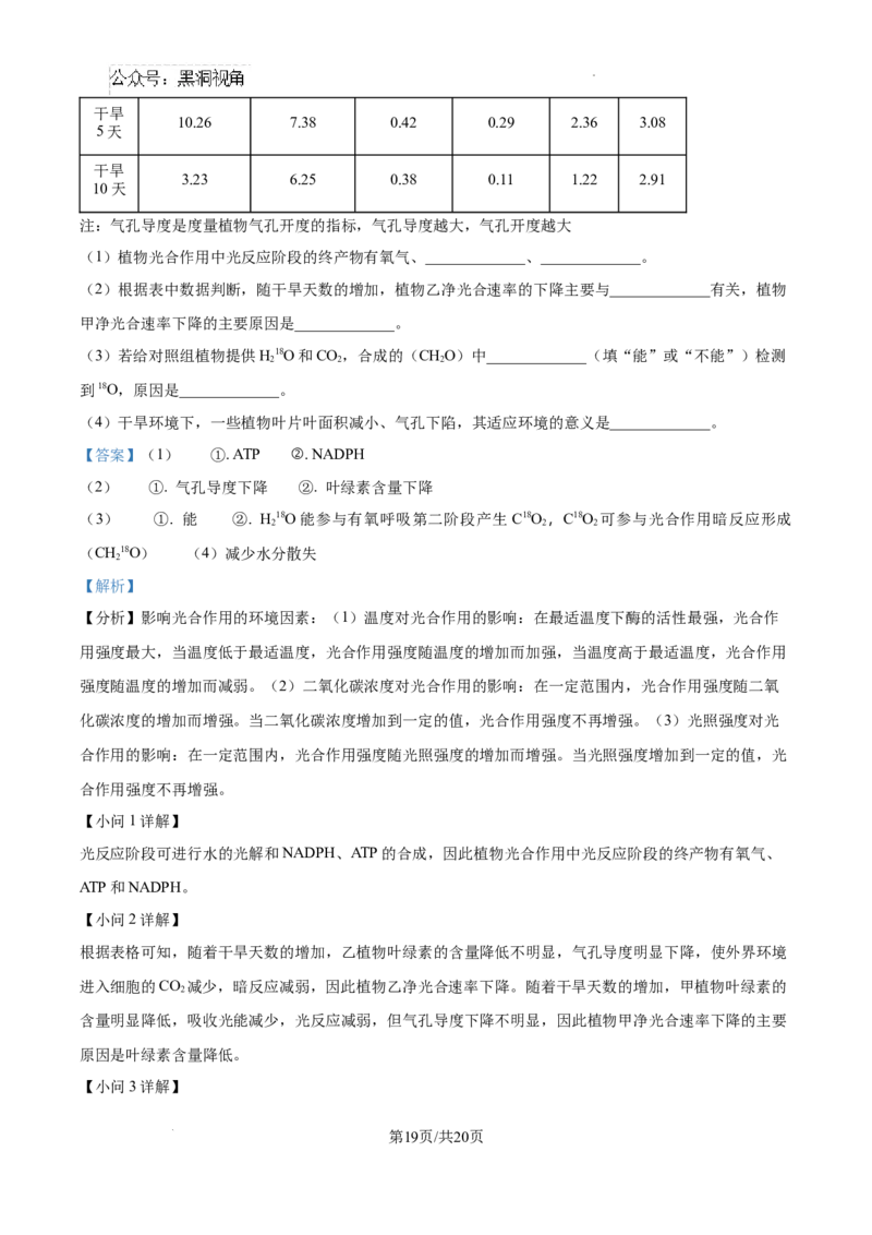2025届银川一中高三第二次月考生物试卷答案_2024-2025高三（6-6月题库）_2024年10月试卷_1007宁夏回族自治区银川一中2024-2025学年高三上学期第二次月考