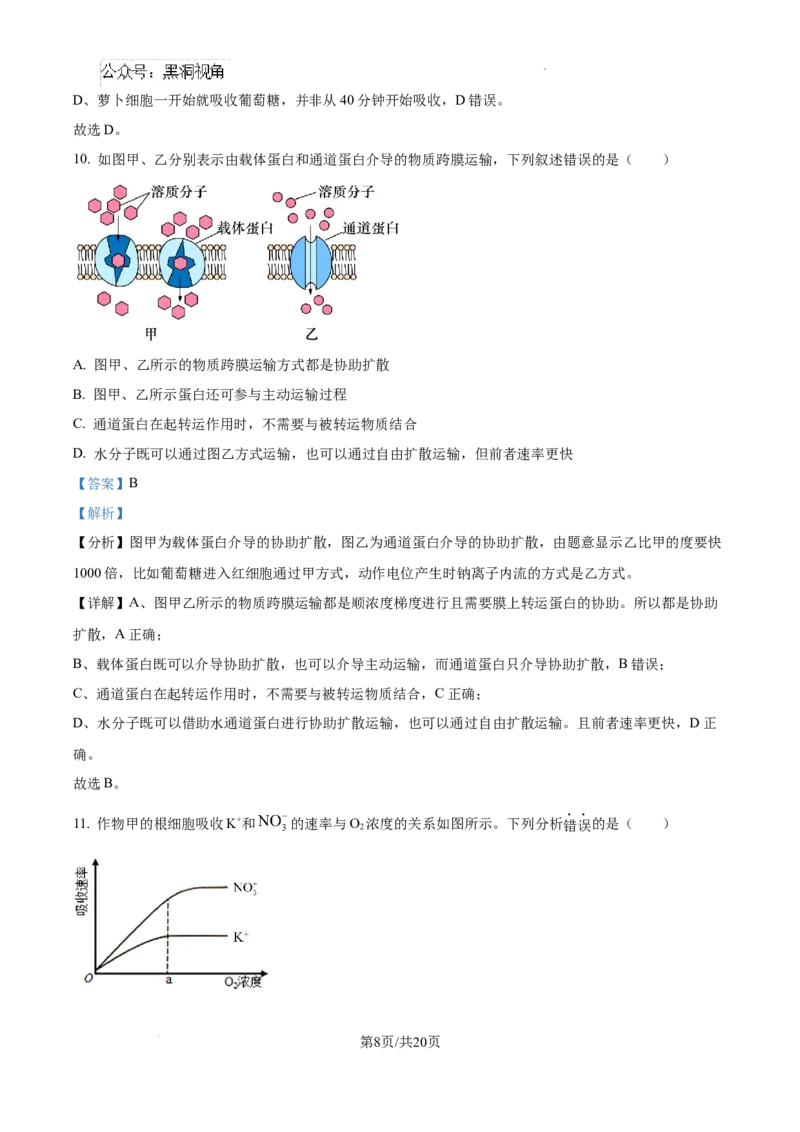 2025届银川一中高三第二次月考生物试卷答案_2024-2025高三（6-6月题库）_2024年10月试卷_1007宁夏回族自治区银川一中2024-2025学年高三上学期第二次月考