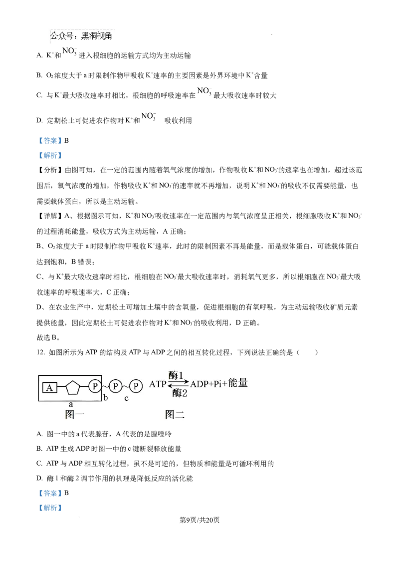 2025届银川一中高三第二次月考生物试卷答案_2024-2025高三（6-6月题库）_2024年10月试卷_1007宁夏回族自治区银川一中2024-2025学年高三上学期第二次月考