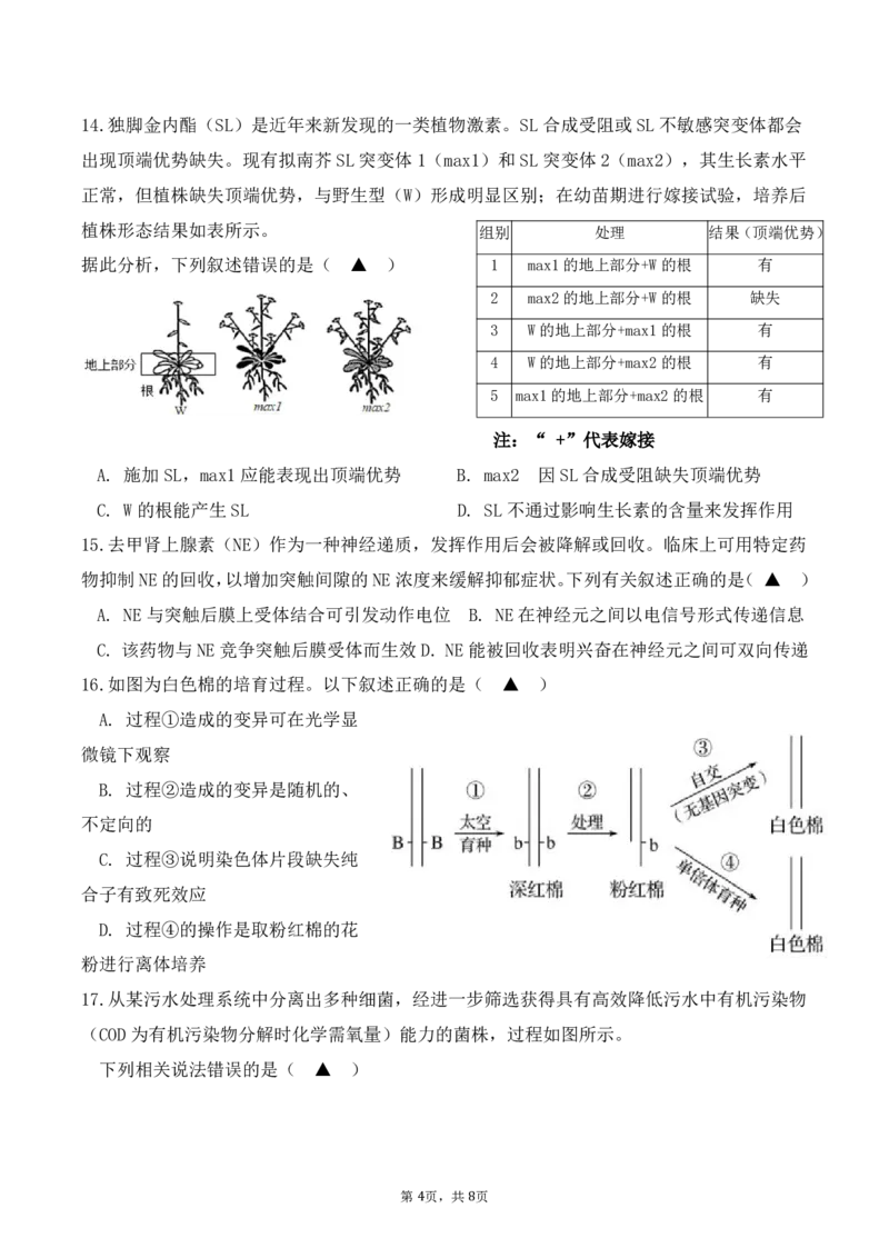 24上高二生物期中_2024-2025高二（7-7月题库）_2024年11月试卷_1130浙江省宁波市余姚中学2024-2025学年高二上学期期中考试