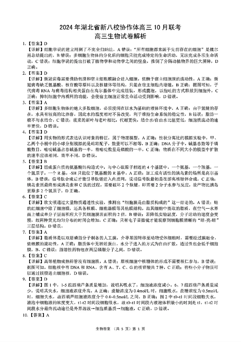 2024年湖北省新八校协作体高三10月联考生物答案_2024-2025高三（6-6月题库）_2024年10月试卷_10112024-2025学年湖北省新八校协作体高三10月联考_2024年湖北省新八校协作体高三10月联考生物