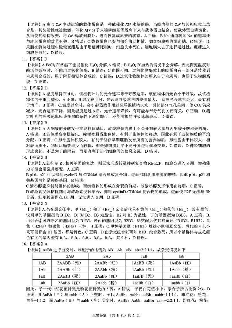 2024年湖北省新八校协作体高三10月联考生物答案_2024-2025高三（6-6月题库）_2024年10月试卷_10112024-2025学年湖北省新八校协作体高三10月联考_2024年湖北省新八校协作体高三10月联考生物
