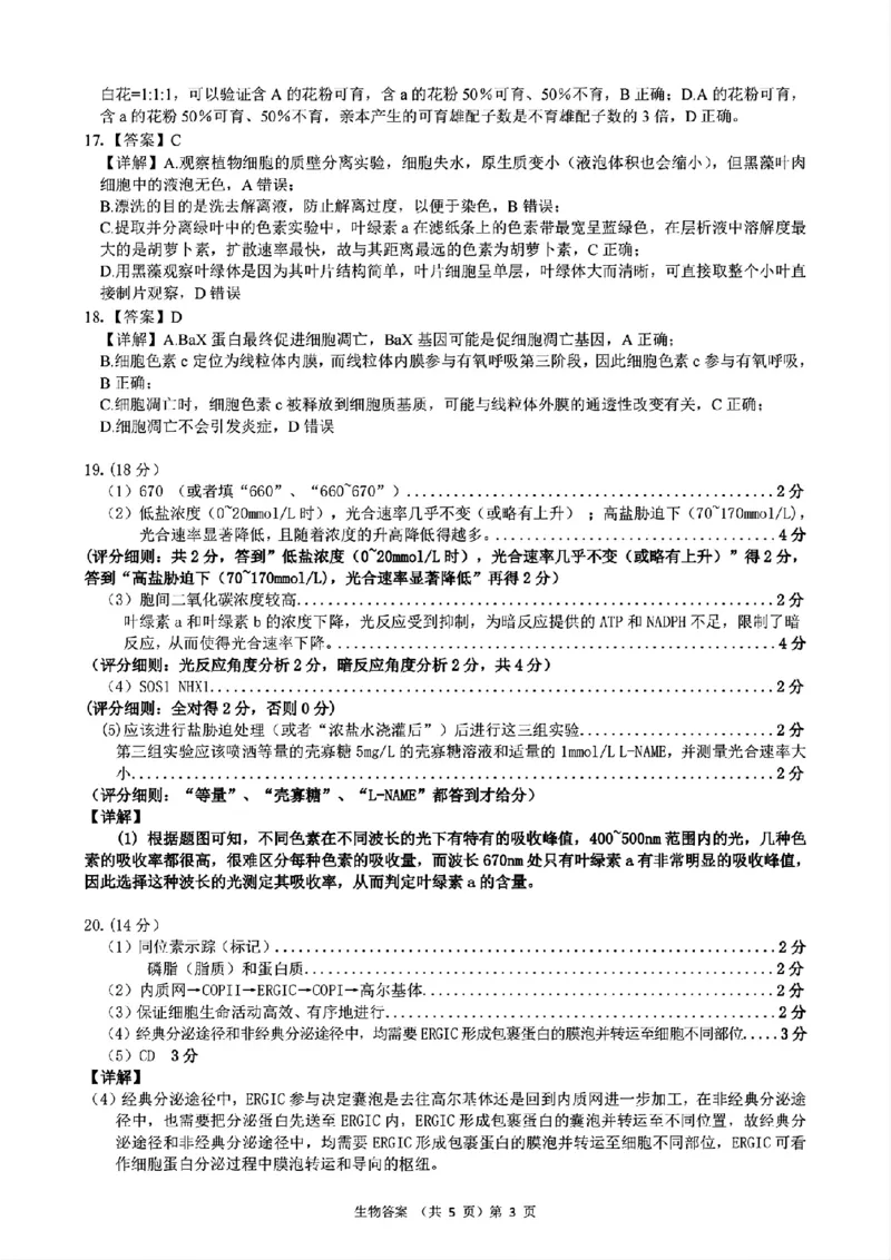 2024年湖北省新八校协作体高三10月联考生物答案_2024-2025高三（6-6月题库）_2024年10月试卷_10112024-2025学年湖北省新八校协作体高三10月联考_2024年湖北省新八校协作体高三10月联考生物