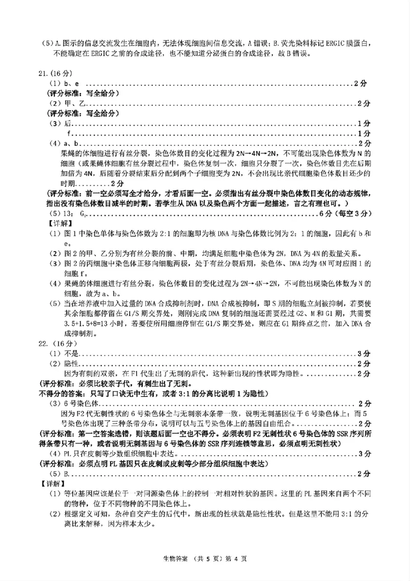 2024年湖北省新八校协作体高三10月联考生物答案_2024-2025高三（6-6月题库）_2024年10月试卷_10112024-2025学年湖北省新八校协作体高三10月联考_2024年湖北省新八校协作体高三10月联考生物