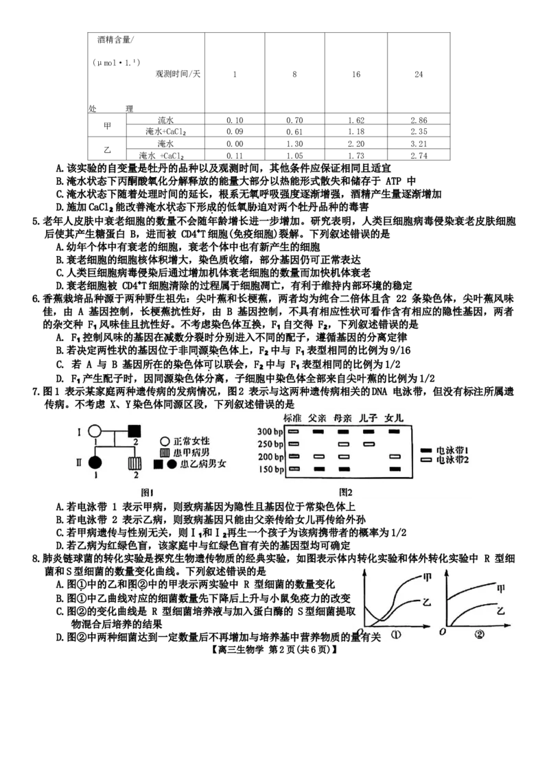 河北省金科大联考2024届高三上学期1月质量检测生物(1)_2024年2月_022月合集_2024届河北省金科大联考高三上学期1月质量检测