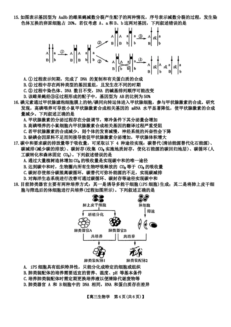 河北省金科大联考2024届高三上学期1月质量检测生物(1)_2024年2月_022月合集_2024届河北省金科大联考高三上学期1月质量检测