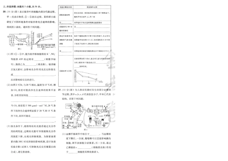 2025《金考卷&middot;特快专递&middot;第4期》生物-A4_2024-2025高三（6-6月题库）_2025年01月试卷_01012025《金考卷&middot;特快专递&middot;第4期》_生物