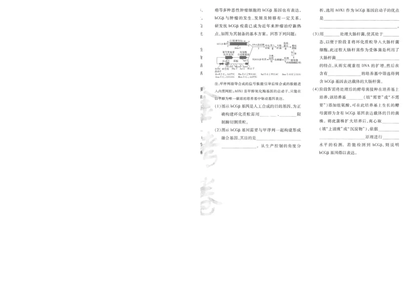 2025《金考卷&middot;特快专递&middot;第4期》生物-A4_2024-2025高三（6-6月题库）_2025年01月试卷_01012025《金考卷&middot;特快专递&middot;第4期》_生物