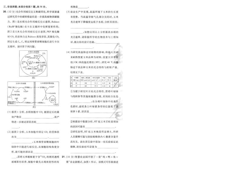 2025《金考卷&middot;特快专递&middot;第4期》生物-A4_2024-2025高三（6-6月题库）_2025年01月试卷_01012025《金考卷&middot;特快专递&middot;第4期》_生物