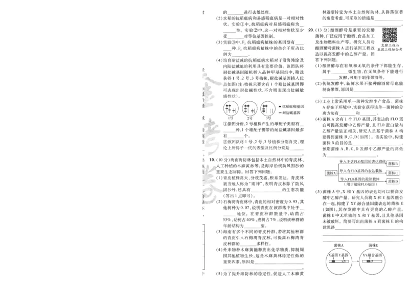 2025《金考卷&middot;特快专递&middot;第4期》生物-A4_2024-2025高三（6-6月题库）_2025年01月试卷_01012025《金考卷&middot;特快专递&middot;第4期》_生物