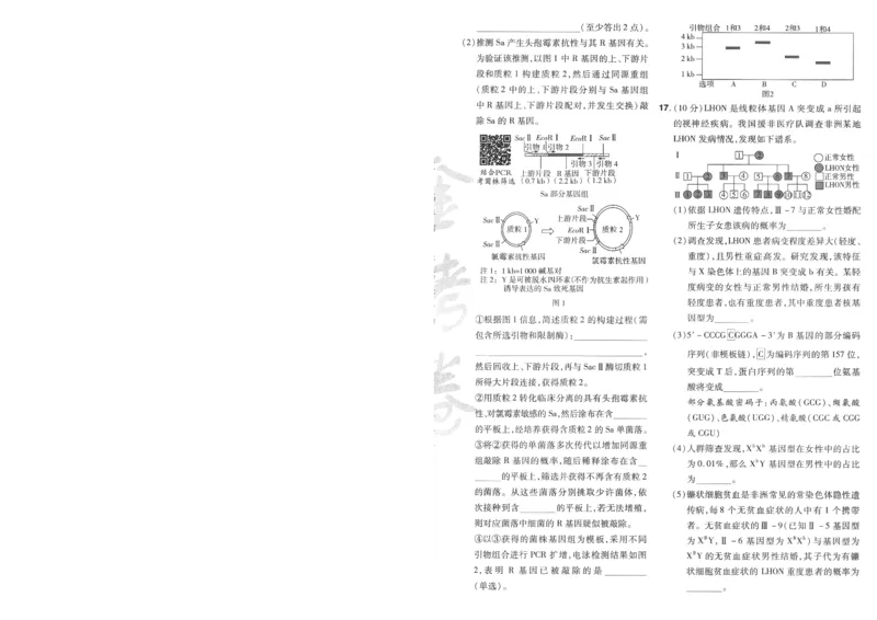 2025《金考卷&middot;特快专递&middot;第4期》生物-A4_2024-2025高三（6-6月题库）_2025年01月试卷_01012025《金考卷&middot;特快专递&middot;第4期》_生物