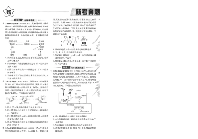 2025《金考卷&middot;特快专递&middot;第4期》生物-A4_2024-2025高三（6-6月题库）_2025年01月试卷_01012025《金考卷&middot;特快专递&middot;第4期》_生物