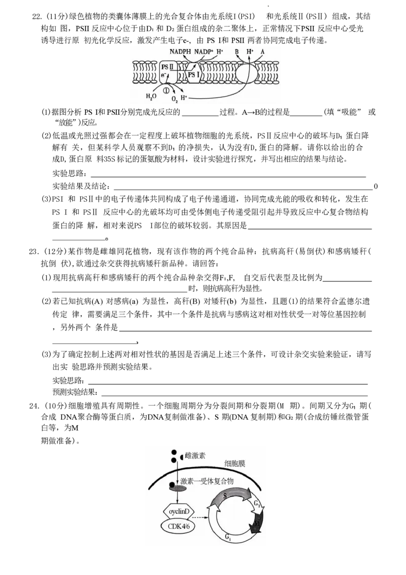 2025届山东省齐鲁联盟&天一高三10月月考-生物试题+答案_2024-2025高三（6-6月题库）_2024年10月试卷_10122025届山东省齐鲁联盟&天一高三10月月考