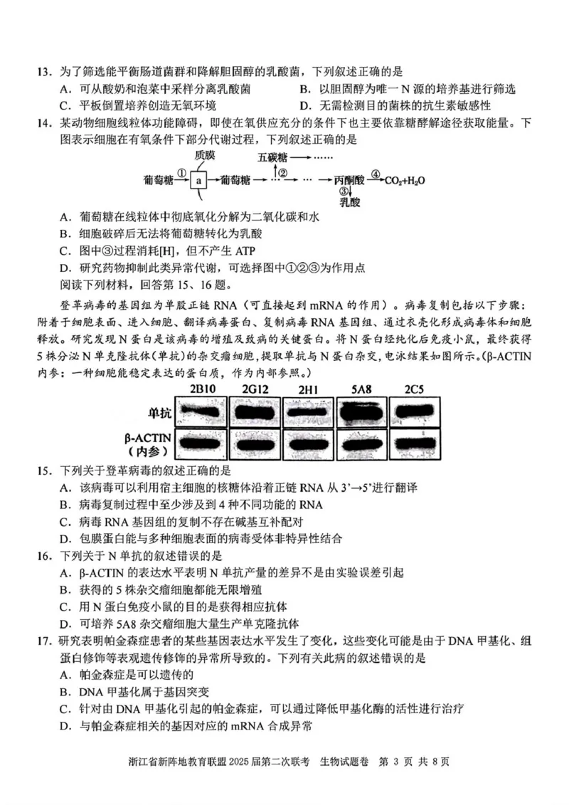 2025届浙江省新阵地教育联盟高三下学期第二次联考生物学试题（含答案）_2024-2025高三（6-6月题库）_2025年02月试卷_02162025届浙江省新阵地教育联盟高三下学期第二次联考（全科）