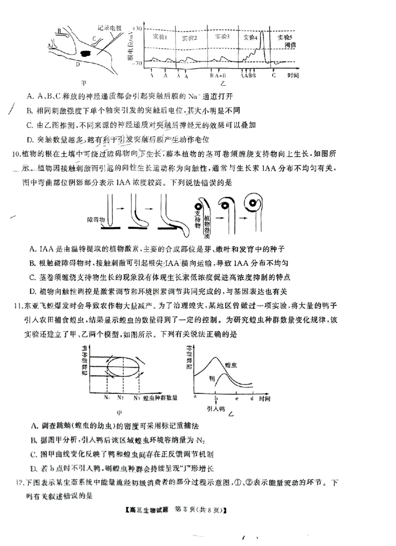 湖南天壹联盟三湘名校2023-2024学年高三下学期入学摸底考试生物试题_2024年2月_01每日更新_22号_2024届湖南天壹联盟三湘名校高三下学期入学摸底考试