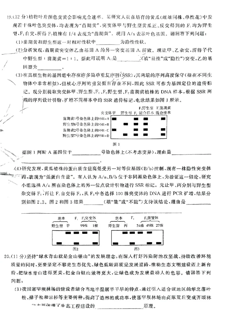 湖南天壹联盟三湘名校2023-2024学年高三下学期入学摸底考试生物试题_2024年2月_01每日更新_22号_2024届湖南天壹联盟三湘名校高三下学期入学摸底考试