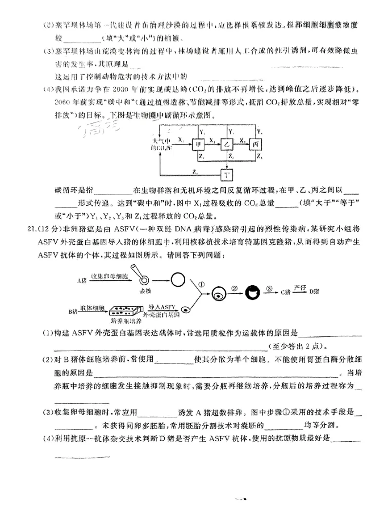 湖南天壹联盟三湘名校2023-2024学年高三下学期入学摸底考试生物试题_2024年2月_01每日更新_22号_2024届湖南天壹联盟三湘名校高三下学期入学摸底考试