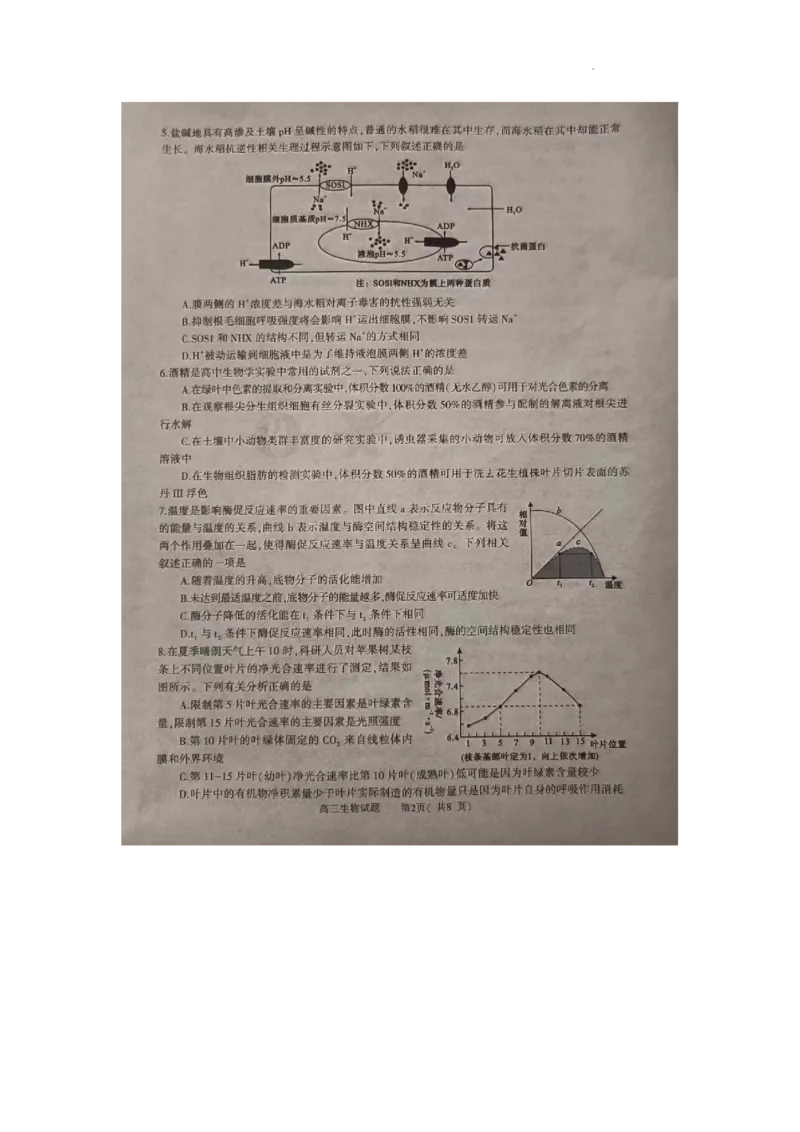 河南省信阳市2024届高三上学期第二次教学质量检测（二模）生物(1)_2024年2月_022月合集_2024届河南省信阳市高三上学期第二次教学质量检测（二模）