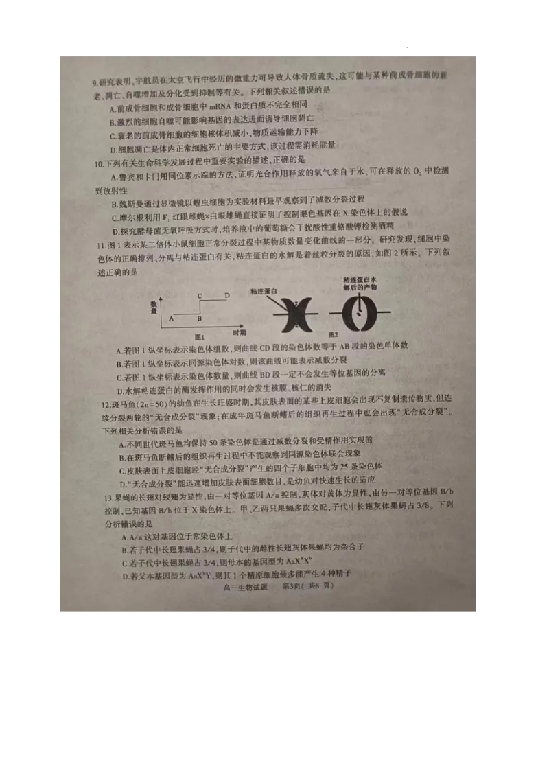 河南省信阳市2024届高三上学期第二次教学质量检测（二模）生物(1)_2024年2月_022月合集_2024届河南省信阳市高三上学期第二次教学质量检测（二模）