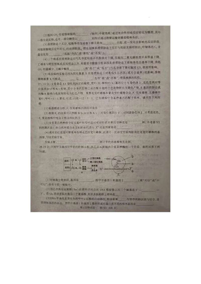河南省信阳市2024届高三上学期第二次教学质量检测（二模）生物(1)_2024年2月_022月合集_2024届河南省信阳市高三上学期第二次教学质量检测（二模）
