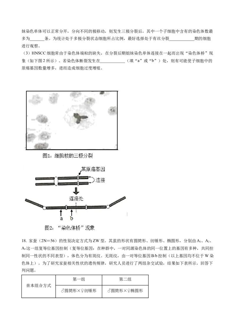湖南省长沙市雅礼中学2022-2023学年高三月考（七）生物试题（原卷版）_2024年2月_01每日更新_13号_2023届湖南省长沙市雅礼中学高三下学期月考（七）全科